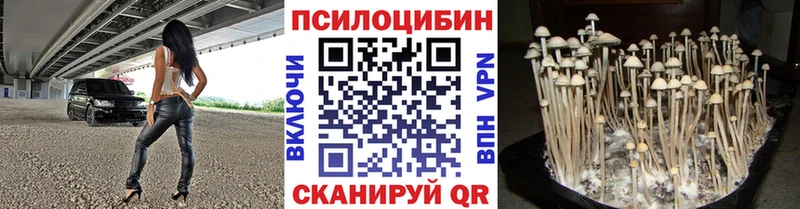 наркошоп  ссылка на мегу рабочий сайт  Галлюциногенные грибы ЛСД  Великий Устюг 