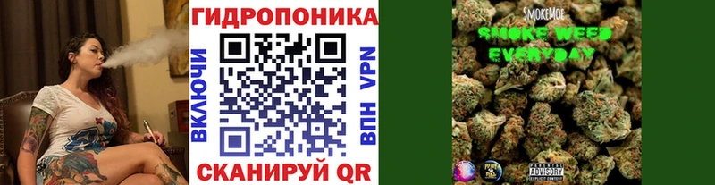 цены наркотик Великий Устюг Конопля сатива